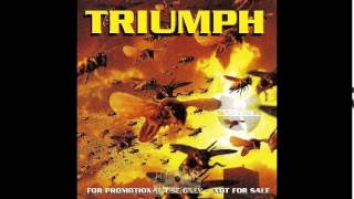 WuTang Clan  Triumph ft Cappadonna [upl. by Hoopen]