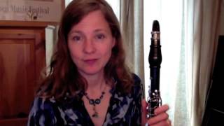 Clarinet Lesson Beginners  making a great first sound [upl. by Adnuahsar]