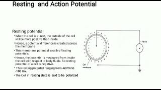 Orgin of biopotentialMedical electronicsBasics of biomedical instrumentation5th sem ECE and EEE [upl. by Anyg730]