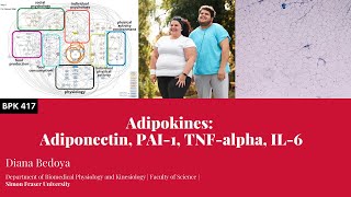 Adipokines Adiponectin PAI1 TNFalpha IL6 [upl. by Low]