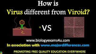 5 Differences between Virus and Viroid  Virus vs Viroids BiologyExams4u [upl. by Yrrab806]