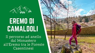 Eremo di Camaldoli come arrivare  Il percorso trekking ad anello dal Monastero al Sacro Eremo [upl. by Akeimat890]