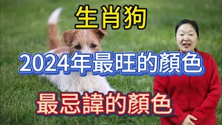 生肖狗！2024年最旺的顏色！屬狗人龍年最忌諱的顏色！選對顏色能招來好運！錢財滾滾來！一整年都順風順水！平安吉祥！ [upl. by Wurtz]