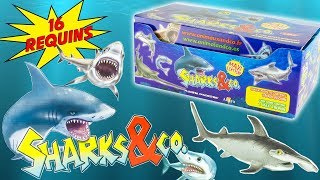 SHARKS amp CO Requins Boite Complète 16 Pochettes Surprise Altaya Jouets Toy Review Juguetes Tiburon [upl. by Rockwood130]