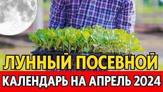 Когда сеять сажать в апреле Лунный посевной календарь на апрель 2024 календарь огородника [upl. by Ainocal102]