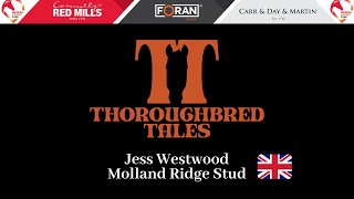 Week in Tweets  Jess Westwood Molland Ridge Stud [upl. by Lucio]