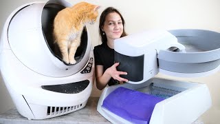 5 Best Automatic SelfCleaning Litter Boxes We Tested Them All [upl. by Oalsinatse747]