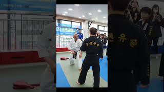 Hapkido 😰🇰🇷 [upl. by Cutlor]