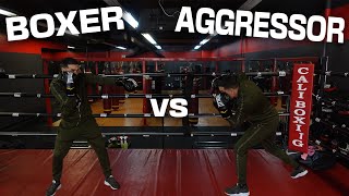 Boxer Vs Aggressor [upl. by Demitria]