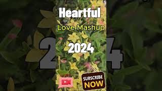 Heartful Love Mashup 2024  Soulmate  Bollywood Lofi Mashup  Best Of Love Songs [upl. by Sanfred]