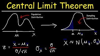 Central Limit Theorem  Sampling Distribution of Sample Means  Stats amp Probability [upl. by Agon]