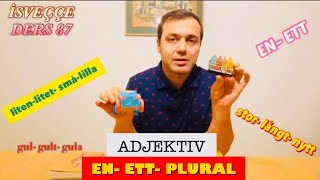 İSVEÇÇENİN TEMEL DERSİ SIFATLAR  ADJEKTIV ENETT PLURAL DERS 87 [upl. by Hendrika]