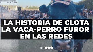 TFN 🐮 CLOTA La VACAPERRO que la rompe en las redes⭐ [upl. by Dhumma]