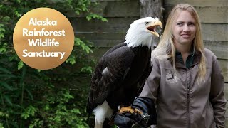 Ketchikan AK Rainforest Wildlife Sanctuary Nature Walk [upl. by Notnelc]