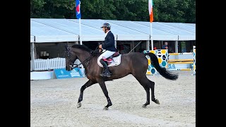 CSI3 Roeser LUX Ranking 150 m  Morfine de Muze et Rik Hemeryck 5èmes  23 Juin 2023 [upl. by Karalynn]