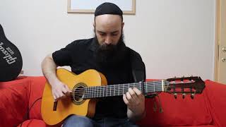 Bnei Heichala בני היכלא Fingerstyle [upl. by Aggy]