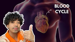 Cardiac Cycle Explained  Board Exam [upl. by Yorke169]