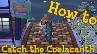 How to Catch the Coelacanth Remastered ACNL [upl. by Marjorie]