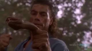 Top 10 JeanClaude Van Damme Moments [upl. by Dorren]