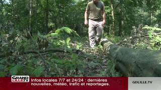 À la rencontre du garde forestier de la forêt de Phalempin [upl. by Haneehs535]