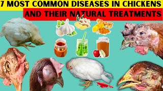 7 MOST COMMON DISEASES OF CHICKEN amp THEIR NATURAL TREATMENTS  100 RECOVERY  These TREATS [upl. by Initirb391]