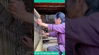 The Process Of Making Bamboo Sheets [upl. by Nelan968]