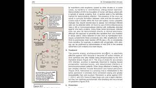 Virology 3 Enveloped DNA viruses [upl. by Deva902]