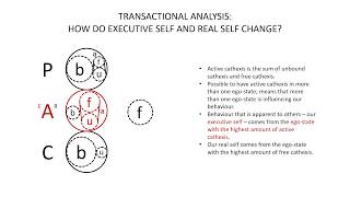 Transactional Analysis Executive Self and Real Self [upl. by Lusa]