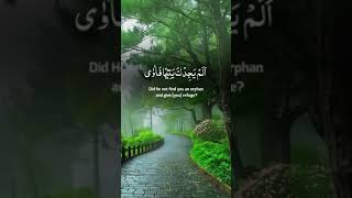 qurran pak ki tilwattilwatquran surrah wadduha [upl. by Sirapal]