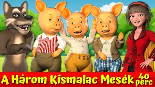 A Három Kismalac És A Farkas 🐷🐺🔴I Nati Mesék I Magyar Tündérmesék [upl. by Willyt535]