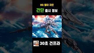 프리미엄 반다이 실버 코팅 HG 델타 자인 등장 gundam [upl. by Walliw]