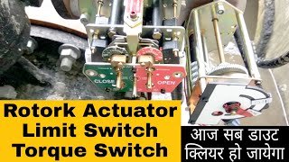 How to Set Limit switch amp Torque Switch of Actuator  Actuator की लिमिट और टार्क कैसे सेट करते हैं [upl. by Hose]