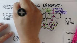 Diarrheal Diseases Part 1 [upl. by Napas]