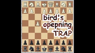 Trap in Birds opening [upl. by Corell942]