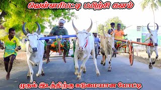 3நடுமாடு வெள்ளரிபட்டி பந்தயம் 06042024 [upl. by Eeralih]