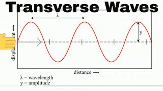 Anatomy of a Transverse Wave [upl. by Ytsenoh]