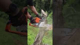 Motosierra Stihl MS 250 [upl. by Hanyaz]