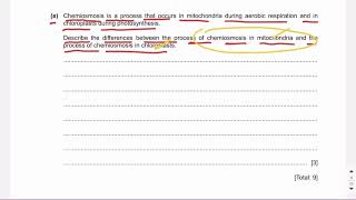 Chemiosmosis  Mitochondria vs chloroplast  A2 Biology [upl. by Chiquia]