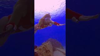 Freediver looks for shells🐚 freediver freediving oceansounds underwater mermaidlife asmr [upl. by Emmit424]