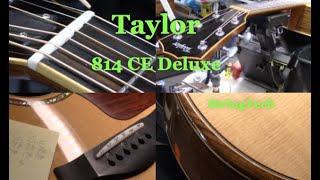 Taylor 814CE Deluxe  Full Calibration [upl. by Cathrine]