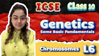 Genetics Class 10 ICSE  ICSE Class 10 Biology  Chapter 3  Chromosomes  Part 6 [upl. by Fabian]