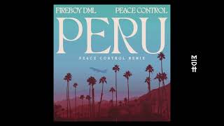 Fireboy DML  Peru Peace Control Remix [upl. by Riabuz]