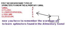 TYPES OF SPHINCTERS FOUND IN THE ALIMENTARY CANAL SHORT TRICKS TO REMEMBER [upl. by Walt]