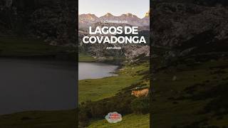 Ruta LAGOS DE COVADONGA Completa circular Enol Ercina y Bricial 🥾🏞️  Cangas Aventura [upl. by Thunell]