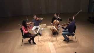 Belcea Quartet  Beethoven String Quartets Vol1 [upl. by Hiasi859]