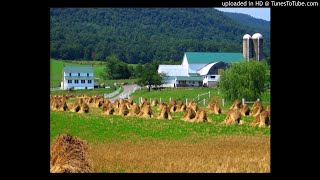 Bringing in the Sheaves bluegrass instrumental [upl. by Teage]