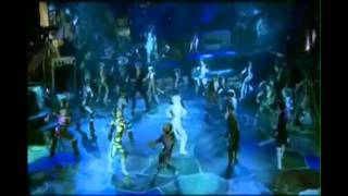 Cats reversed 20 Jellicle songs for jellicle cats [upl. by Enomyar975]