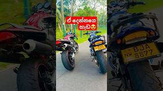 මෙව්වා යනවා යැවිල්ලක්😁 automobile slbikes srilanka dream bikeride hornet250 cbr250rr ytshots [upl. by Essirehs]