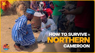 I visited Some Fun Places in the Northern Part of Cameroon  Explore Garoua With Me [upl. by Snahc]