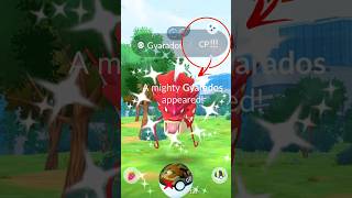 When I got 3300 CP Shiny ✨ Mighty Shrimp in Pokemon GO [upl. by Hemetaf]